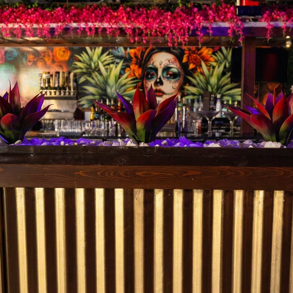 A vibrant bar with a mural of a woman's face, agave plants, and pink floral decor.